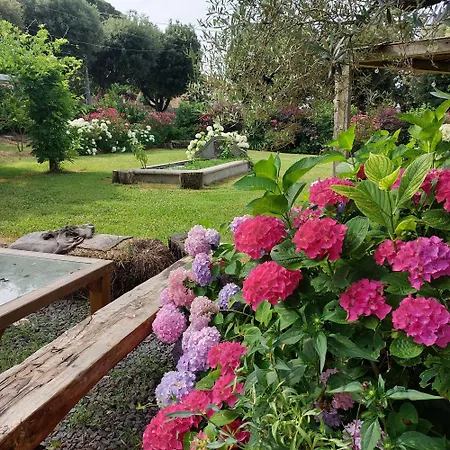 Orto Delle Fate