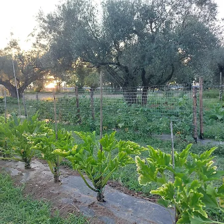 Alloggio per agriturismo Orto Delle Fate