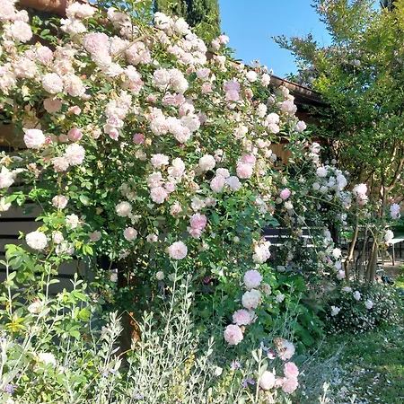 Orto Delle Fate Alloggio per agriturismo *